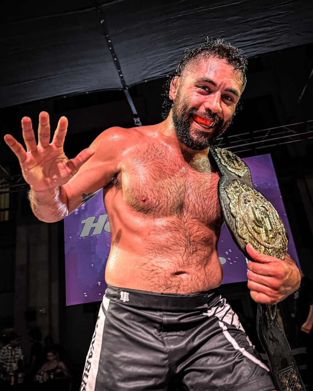 Subversiv BJJ